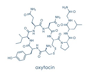 Oxytocin Kuschelhormon