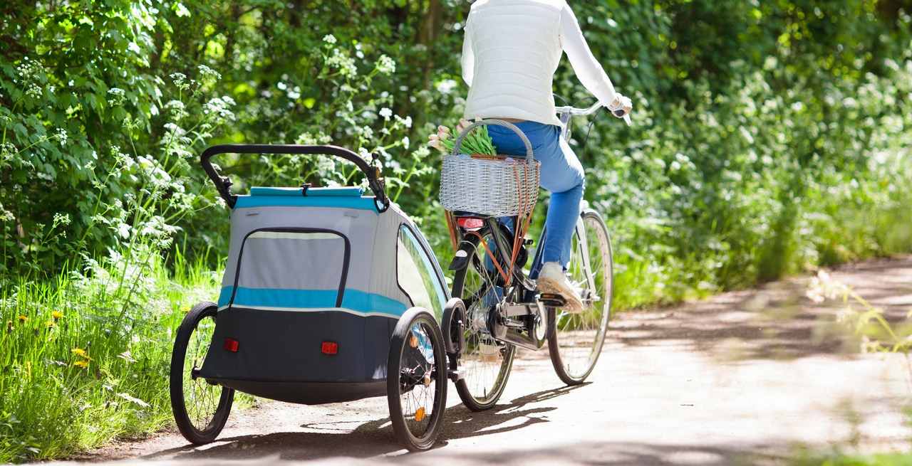 Fahrradanhänger für Kinder im Test und Vergleich 2020 🥇