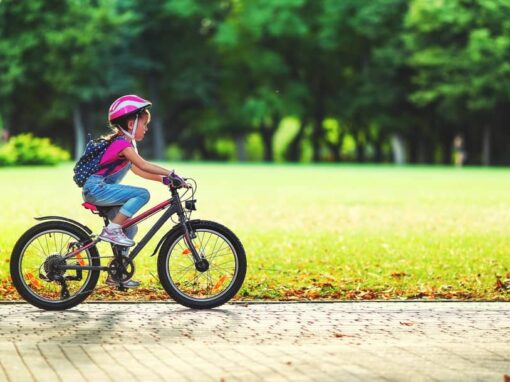 Die besten 20 Zoll Kinderfahrräder